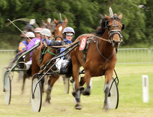 Paardenrace